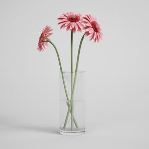 玻璃杯红色花卉