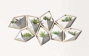 现代几何造型花槽、花盆植物墙饰