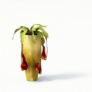 花朵下垂盆栽花卉