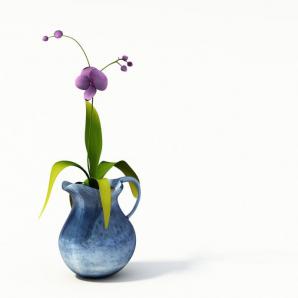 单棵蝴蝶兰花瓶花卉