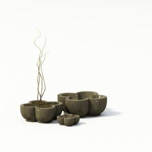 梅花形花盆盆栽