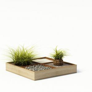 小木箱花盆、小石头、白沙组合盆景植物