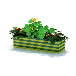 条纹花池、花卉、绿植组合