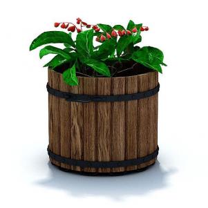 圆形木质花池、大绿叶、风铃花形花朵盆栽花卉