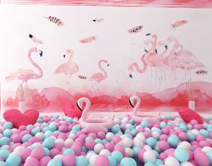 现代唯美少女心、海洋球池、网红火烈鸟背景墙