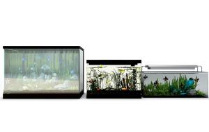 黑色边框鱼缸、便携式鱼缸