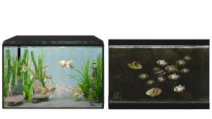 有水草的鱼缸