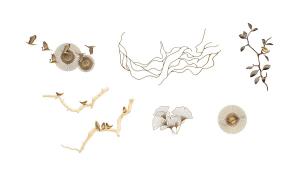 金属铁艺树枝小鸟、银杏叶墙饰、挂件组合