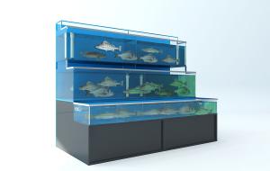 阶梯形卖鱼鱼缸、活鱼