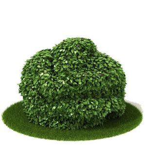 有造型的垂叶榕灌木绿植