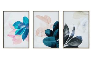 北欧植物三联拼接装饰画