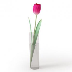 紫红色单株郁金香花瓶花卉