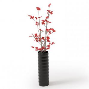 黄栌树盆栽植物