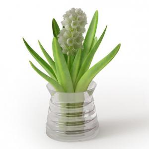 螺丝玻璃瓶、风信子花瓶花卉