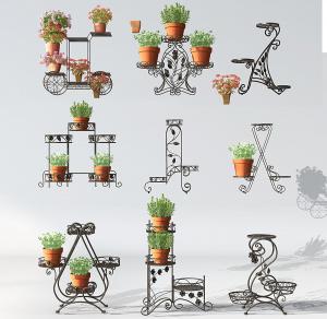 铁艺花架 形似百里香、天蓝葵的盆栽花卉