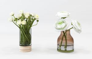 装在不同玻璃花瓶的洋桔梗 花卉