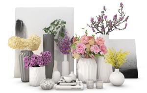 玉兰、玫瑰、蝴蝶兰花瓶花卉