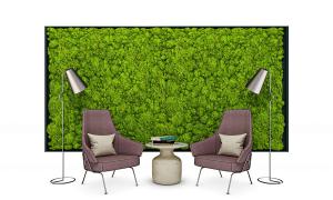 形似青苔的植物墙