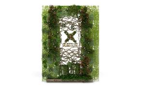 类似牵牛花的藤蔓花卉植物墙