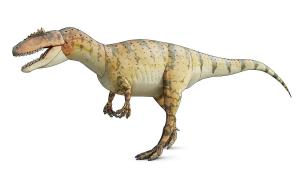 马普龙肉食恐龙