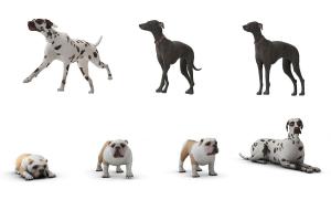 花狗、黑狗、沙皮狗