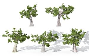 形似没有树尖的景观树木