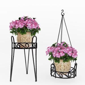 铁艺花架、形似绣球花的吊篮花卉