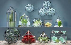 菊花、量天尺、捕蝇草玻璃框盆栽植物