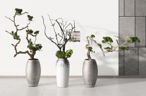 形似六月花的盆栽植物