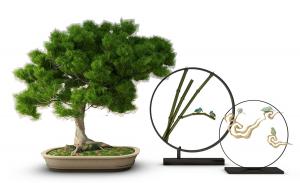 椭圆花盆、松树盆景盆栽植物