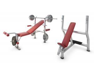 室内双臂肌肉训练健身器材