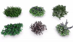 粉紫色花 灌木花草花丛花卉