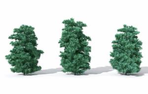 枝叶繁茂形似雪松的松树 灌木绿植