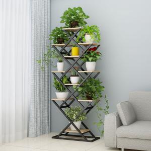 绿萝、仙人球、花烛盆栽植物