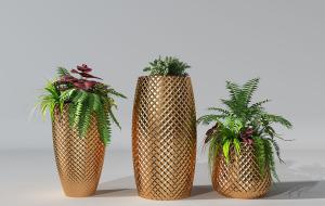 马赛克外壳花盆、肾蕨盆栽植物