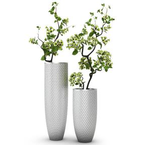 茉莉花树盆栽植物