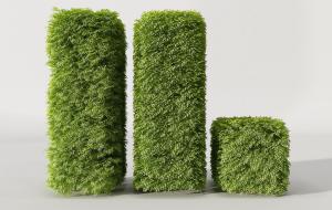 方柱体、正方体造型灌木绿植