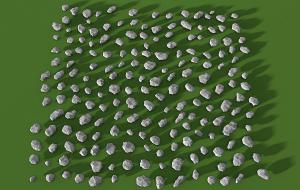 大小不同的石头