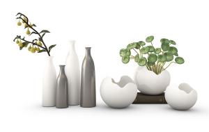 香菇草、无花果花瓶花卉