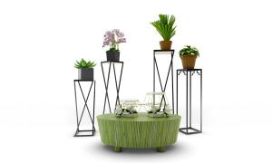 紫罗兰、蒲葵盆栽植物、金属花架