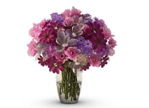 形似樱草的花瓶花卉