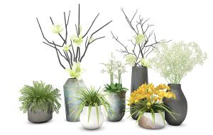 大花蕙兰、癞子花、白花夹竹桃花瓶花卉