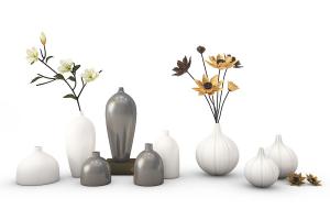 荷花、类似百花虎眼万年青的花瓶花卉