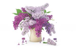 粉紫色花叶丁香花瓶花卉