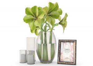 形似朱顶红的花瓶花卉