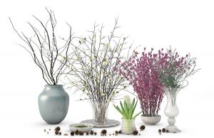 风信子、梅花、形似银柳的花瓶花卉