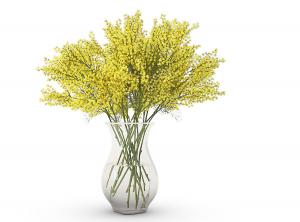 形似迎春花的花瓶花卉