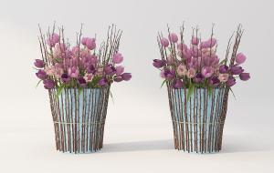 用花枝装点的花盆、郁金香花瓶花卉