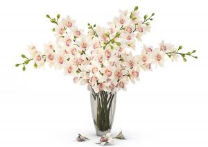 白花、粉红花序的花瓶花卉