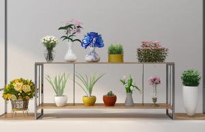 春兰、百合花、红花继木花瓶花卉